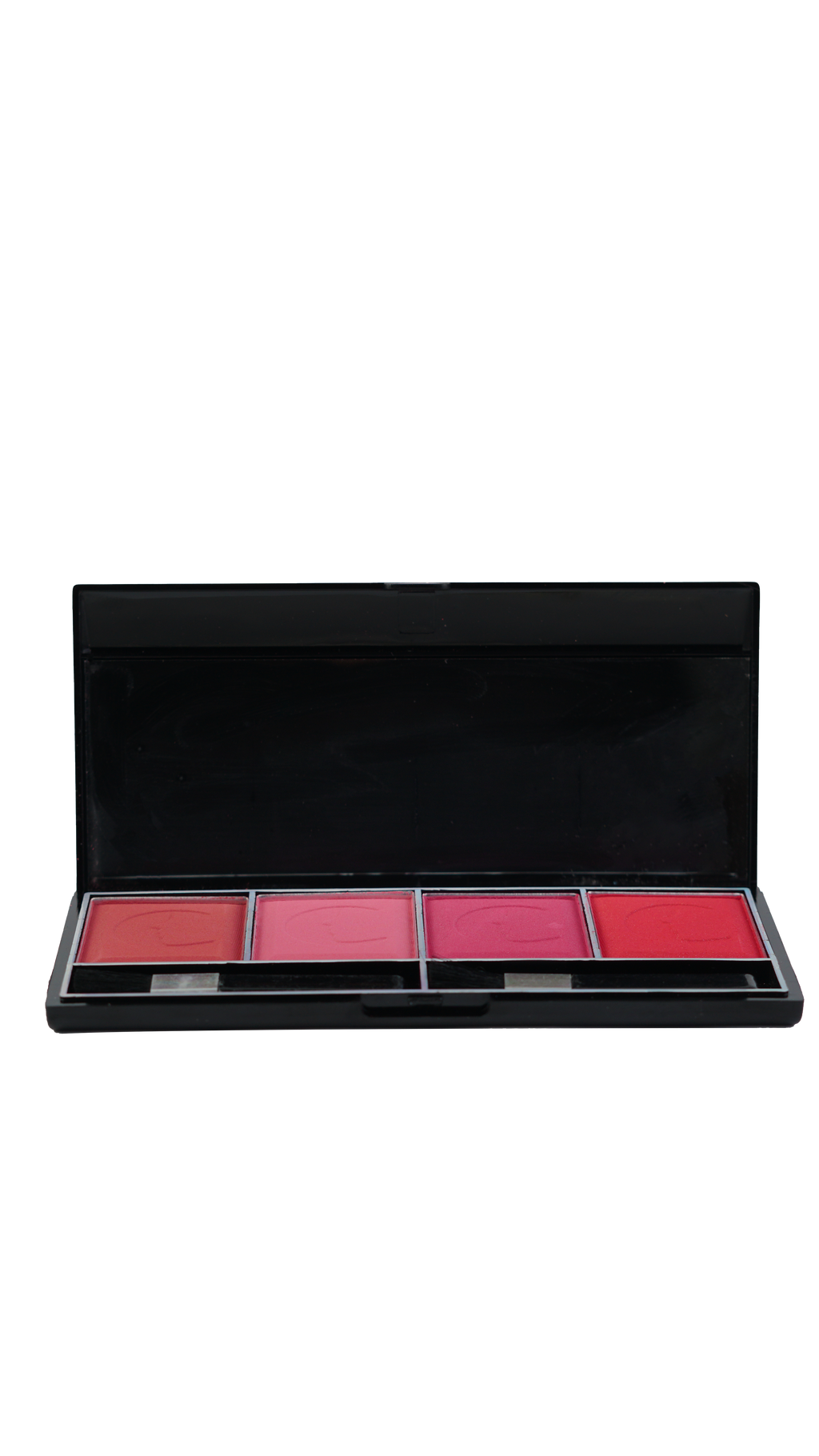 4IN1 BLUSHER