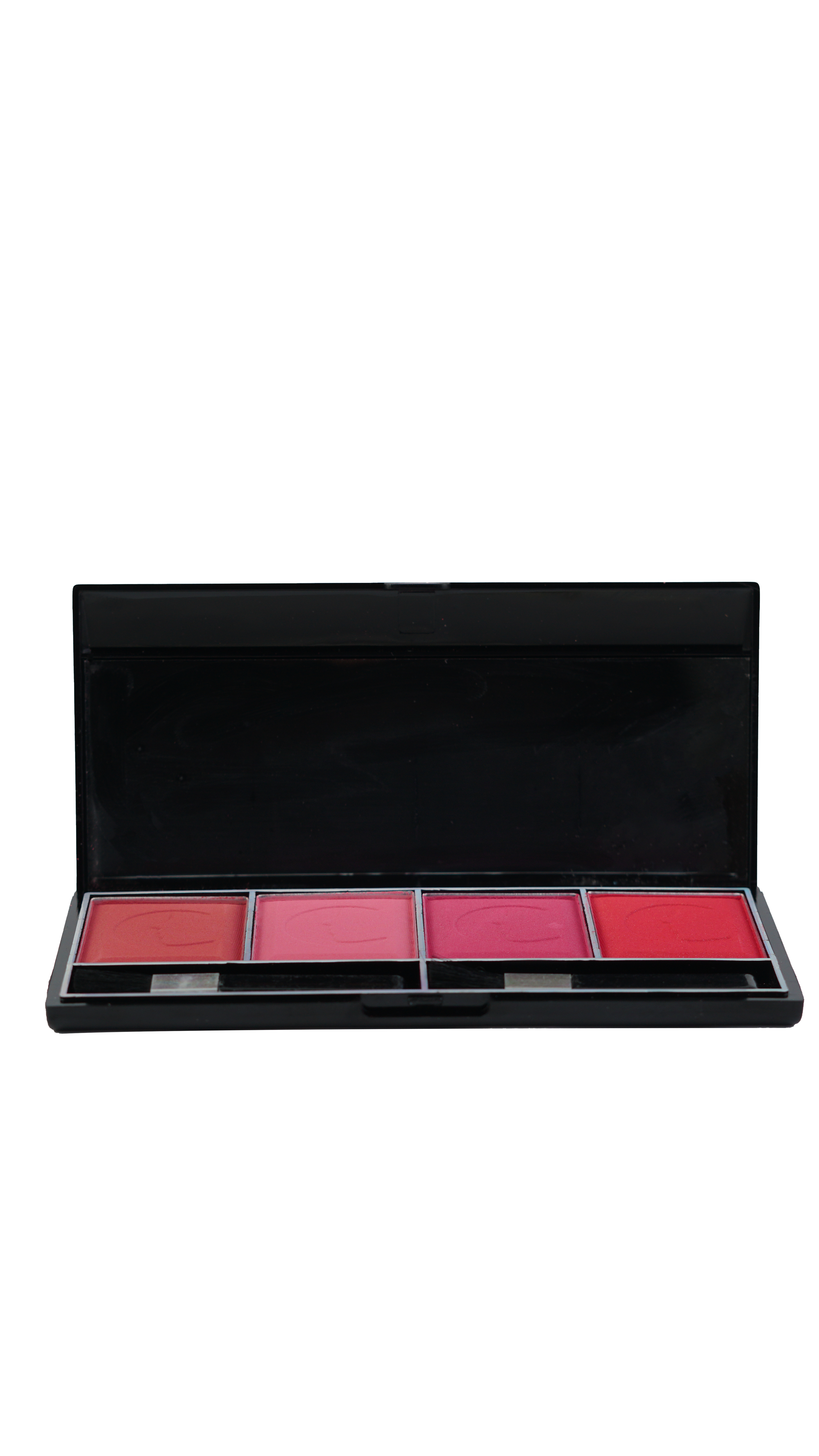 4IN1 BLUSHER