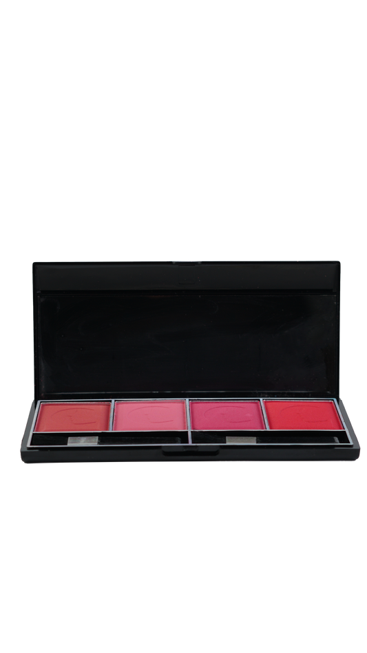 4IN1 BLUSHER